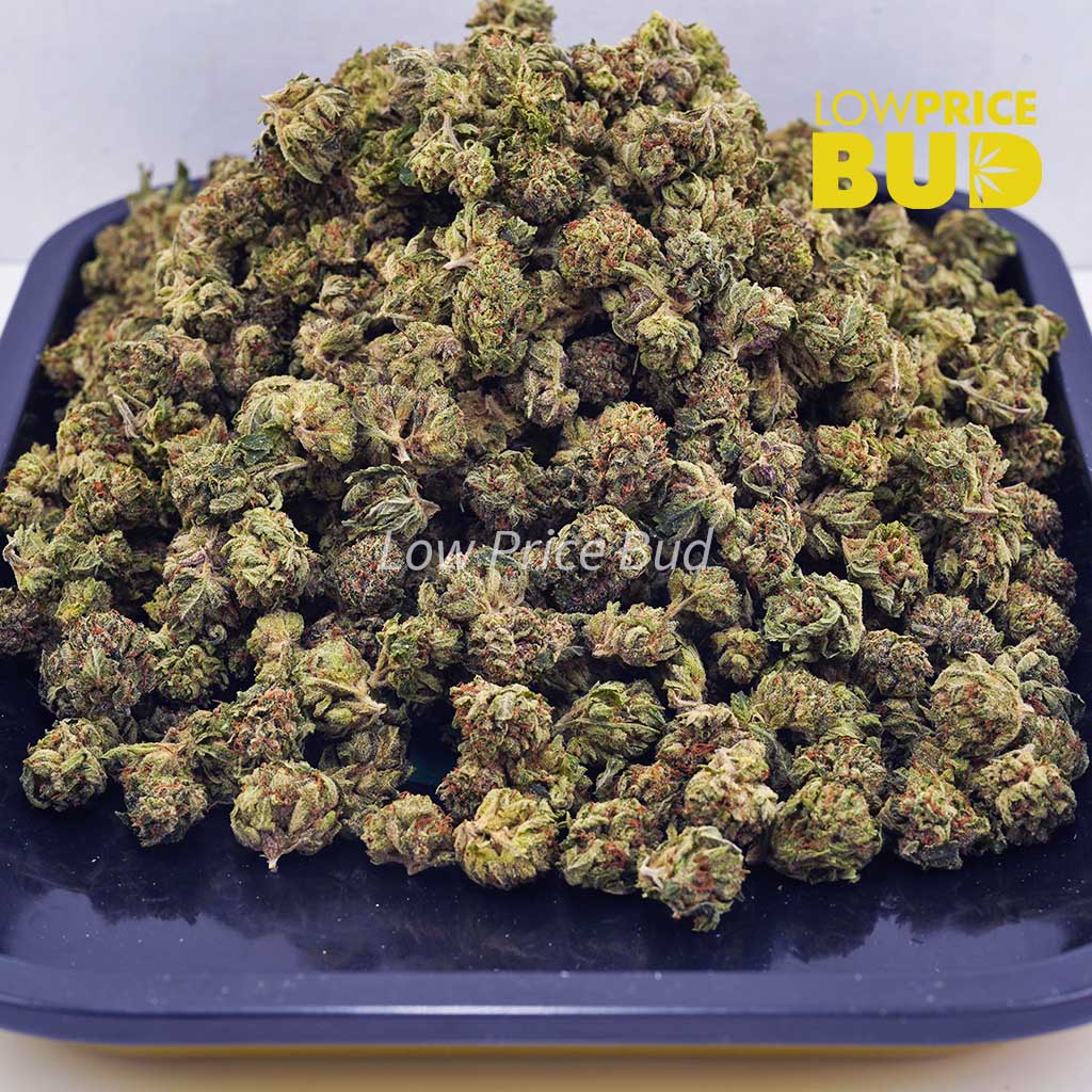 Green Gas (AAAA) – Popcorn Nugs Buy Green Gas (AAAA) – Popcorn Nugs online Canada