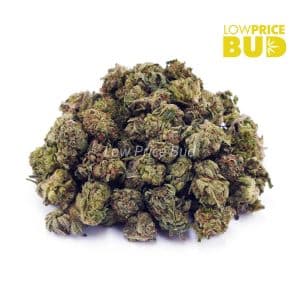 Buy Build Your Own (AAAA) Popcorn Pound 16 x 28g online Canada
