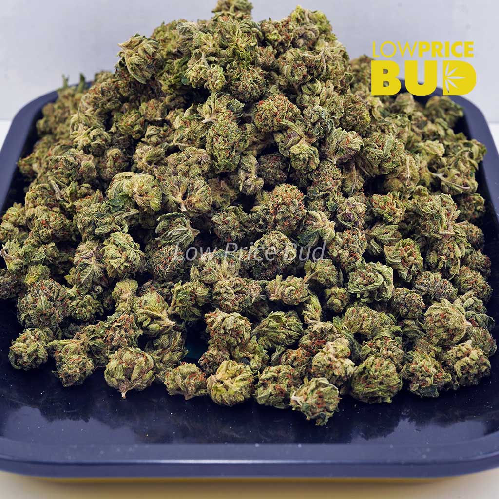 Frosted Fruit Cake (AAAA) – Popcorn Nugs Buy Frosted Fruit Cake (AAAA) – Popcorn Nugs online Canada