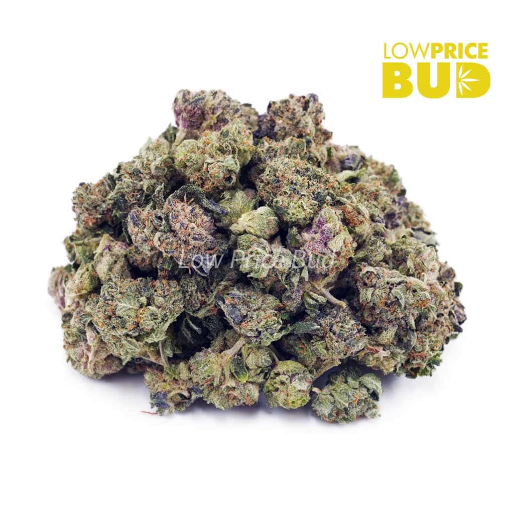 Pre-98 Bubba (AAAA) – Popcorn Nugs Buy Pre-98 Bubba (AAAA) – Popcorn Nugs online Canada
