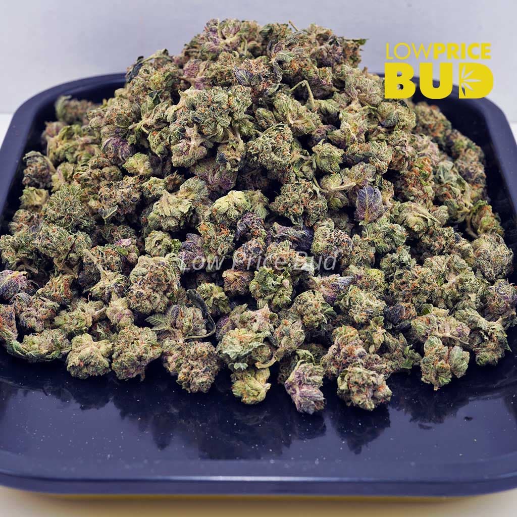 Pre-98 Bubba (AAAA) – Popcorn Nugs Buy Pre-98 Bubba (AAAA) – Popcorn Nugs online Canada