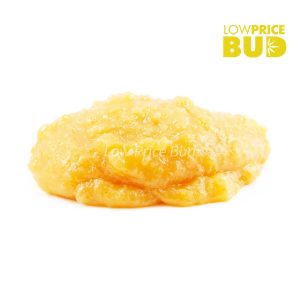 Buy Caviar – OG Octane online Canada
