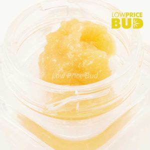 Caviar – OG Octane Buy Caviar – OG Octane online Canada