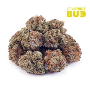 Bruce Banner (AA) Buy Bruce Banner (AA) online Canada