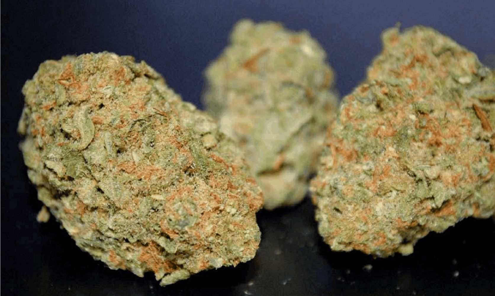 The Top 4 Products at the Cheapest Dispensary in Canada