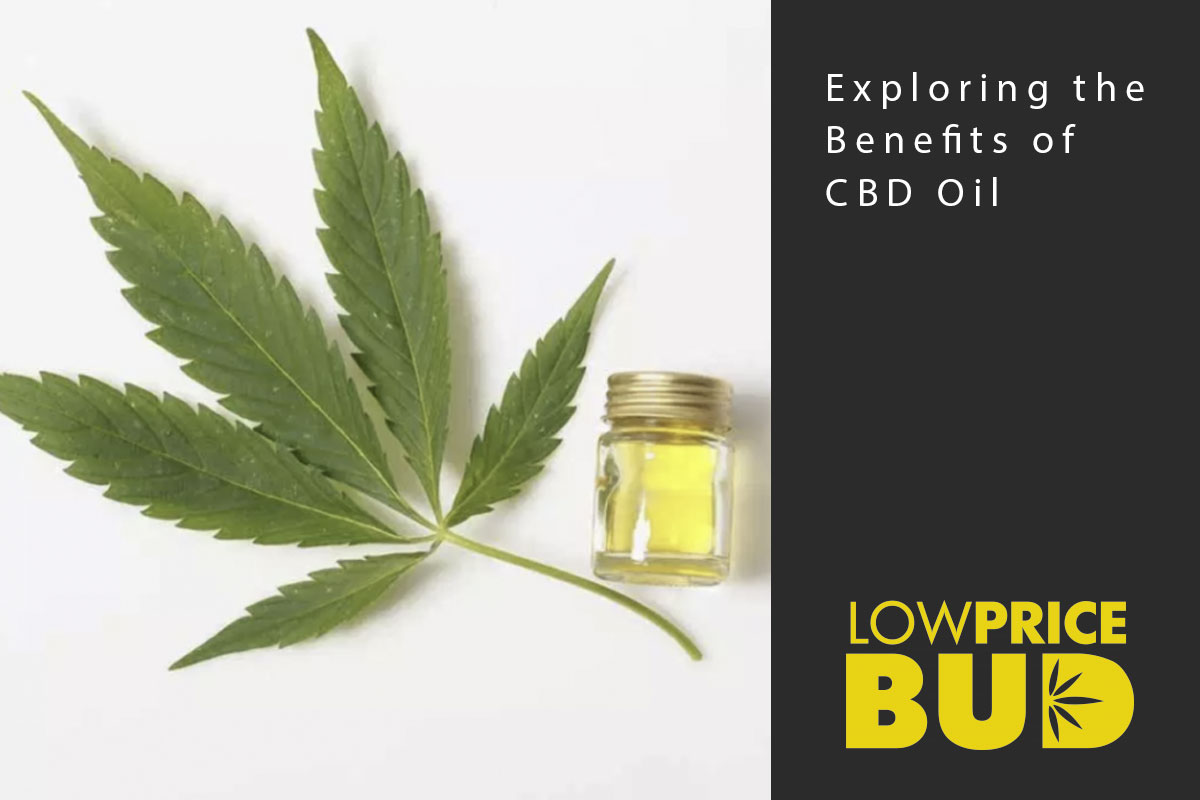 benefits of cbd oil