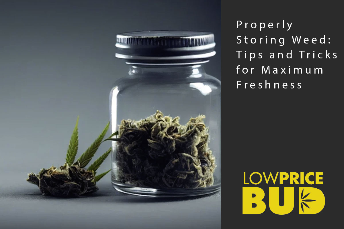 storing weed