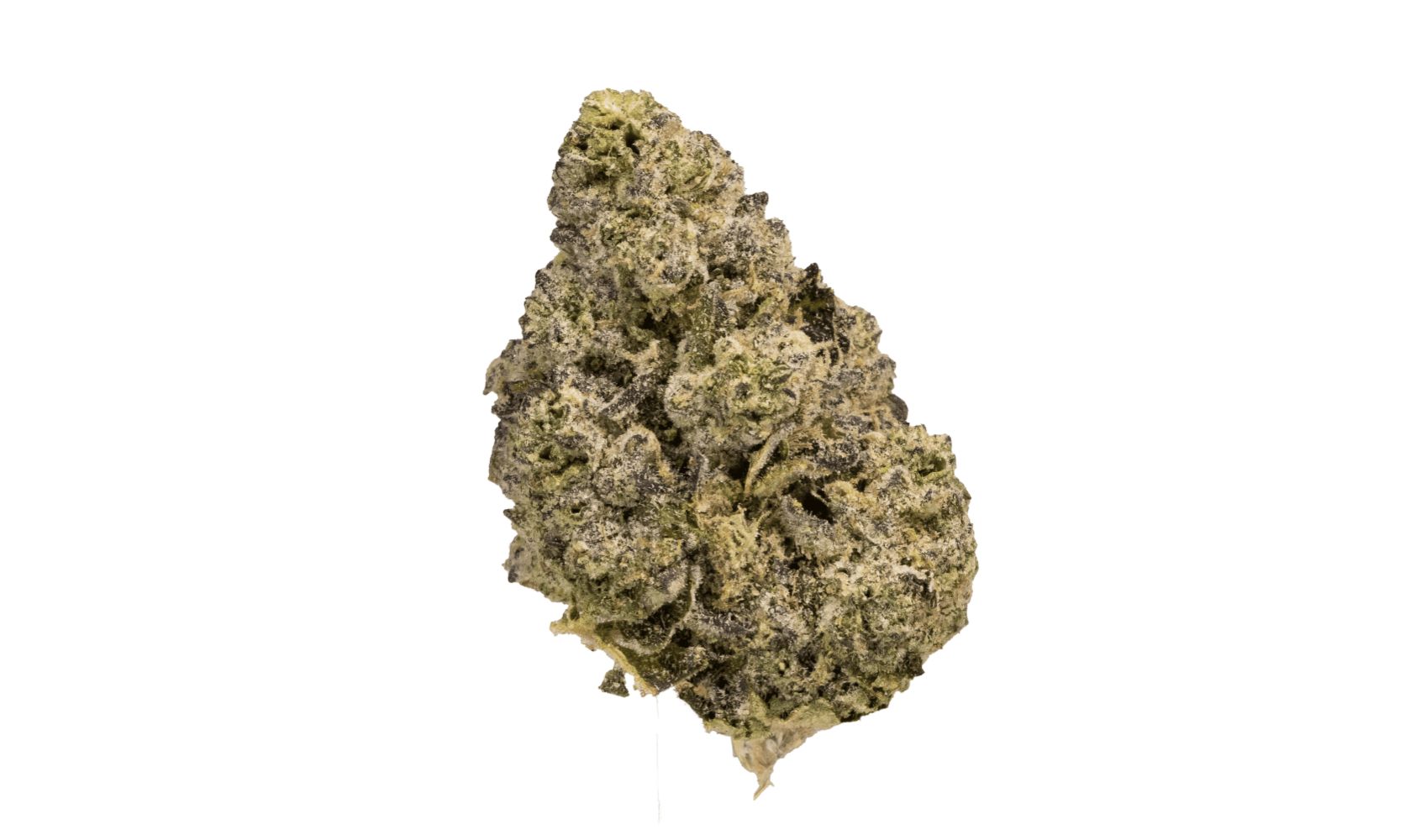 Read on for the most updated and comprehensive Do Si Dos strain review on the internet!
