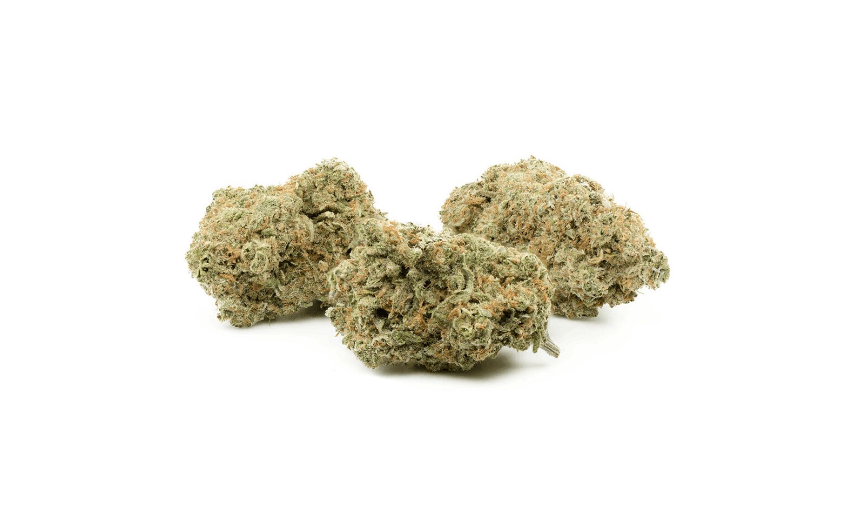 Are you dealing with stress & crippling anxiety? Learn how the Girl Scout Cookies strain will bring peace to your life. Read our guide now for info!