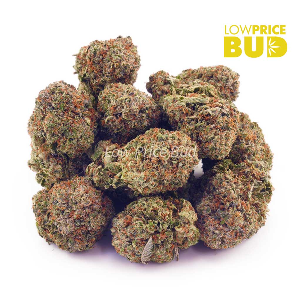 Space Runtz (AA) Buy Space Runtz (AA) online Canada