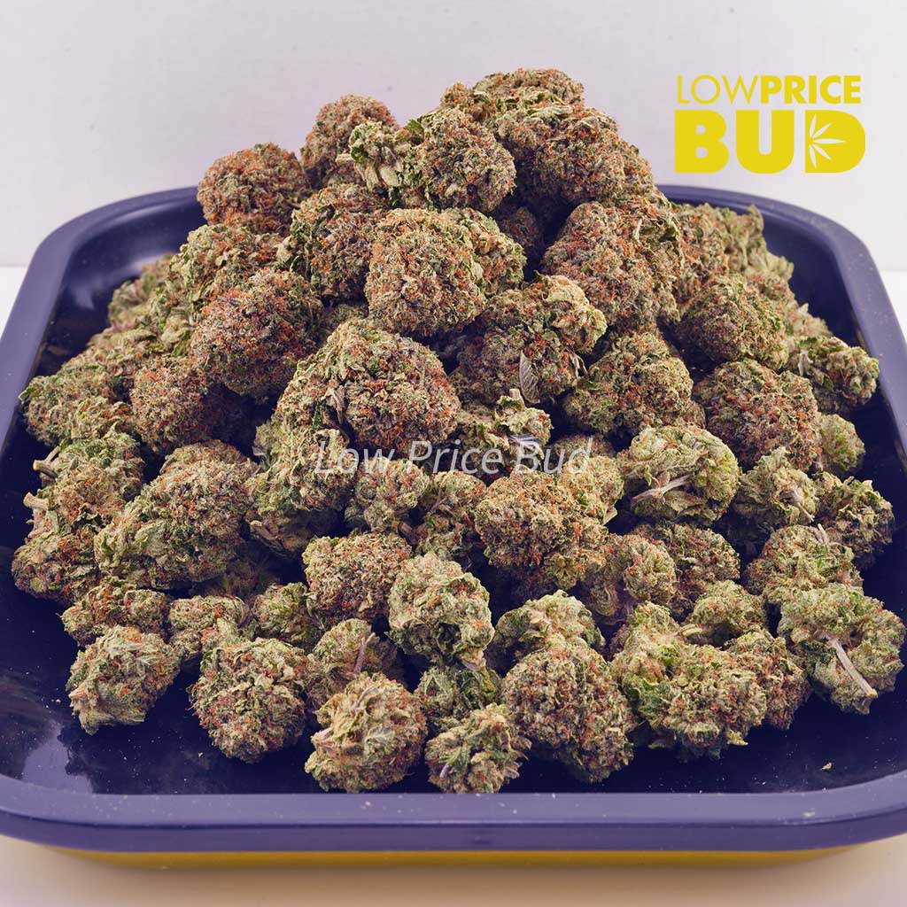 Space Runtz (AA) Buy Space Runtz (AA) online Canada