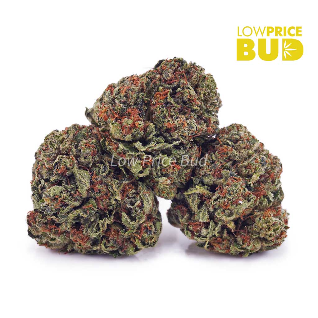 Cherry Kush (AA) Buy Cherry Kush (AA) online Canada