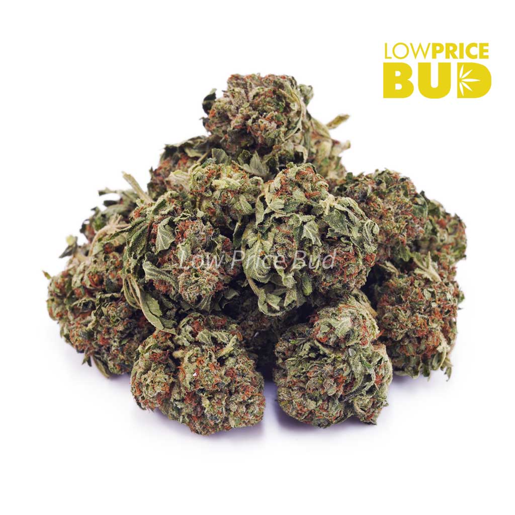 Cherry Kush (AA) Buy Cherry Kush (AA) online Canada