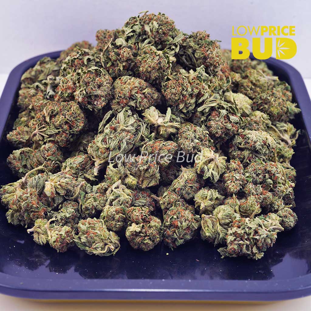 Cherry Kush (AA) Buy Cherry Kush (AA) online Canada
