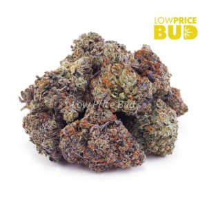 Buy Pre-98 Bubba (AAAA) – Popcorn Nugs online Canada