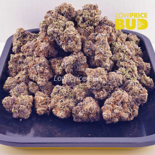 Buy Apple Fritter (Craft Cannabis) online Canada