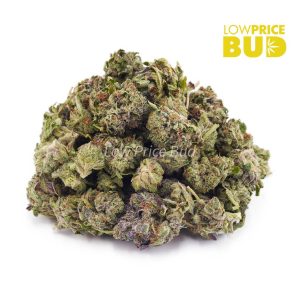 Buy Platinum Pink (AAAA) – Popcorn Nugs online Canada