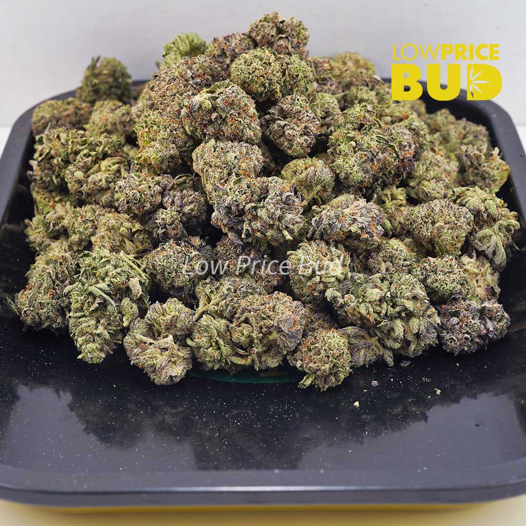Gas Mask Bubba (AAA) Buy Gas Mask Bubba (AAA) online Canada