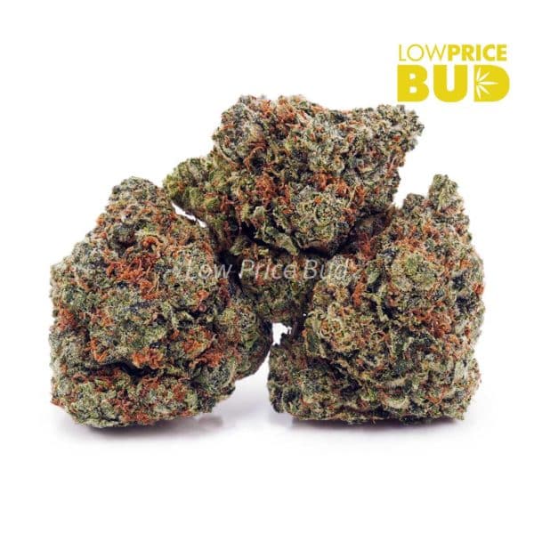 Gas Mask Bubba (AAA) - Low Price Bud