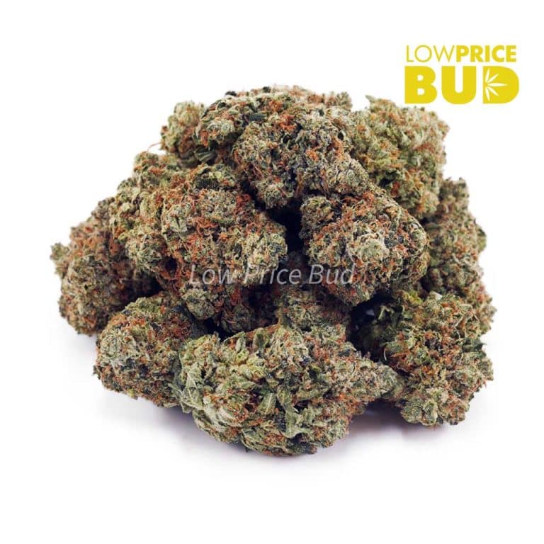 Gas Mask Bubba (AAA) - Low Price Bud