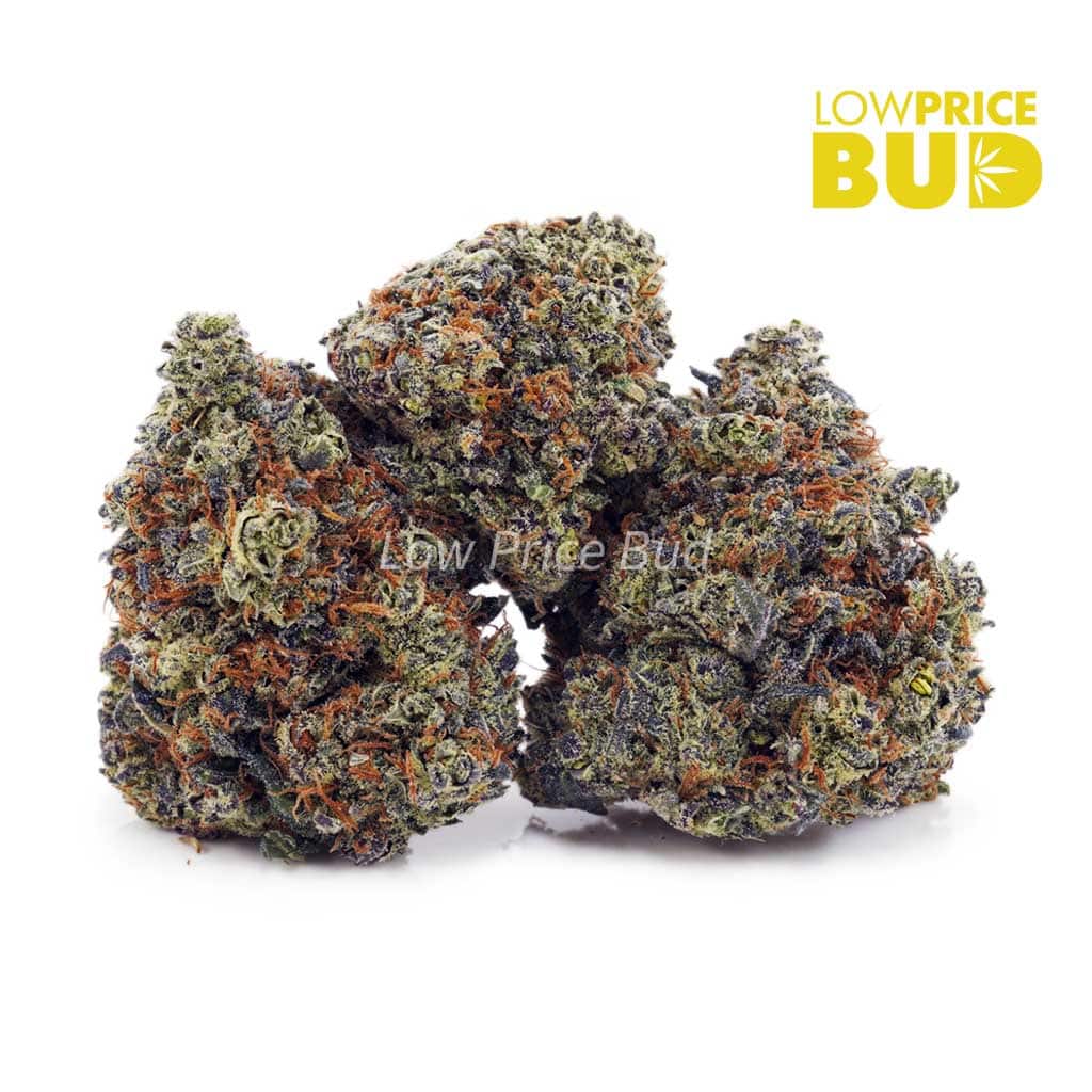 High Octane (AAA) Buy High Octane (AAA) online Canada