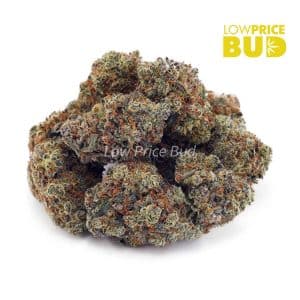 High Octane (AAA) Buy High Octane (AAA) online Canada