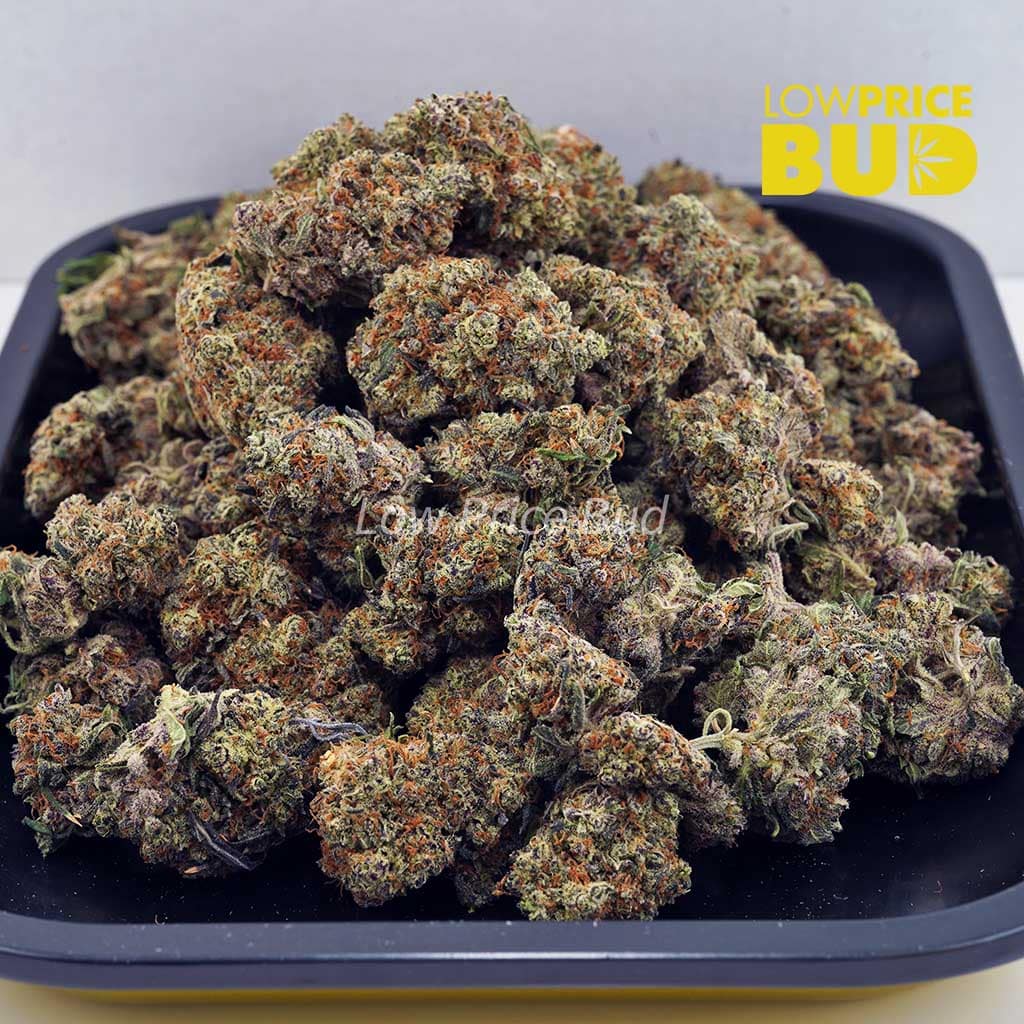 High Octane (AAA) Buy High Octane (AAA) online Canada