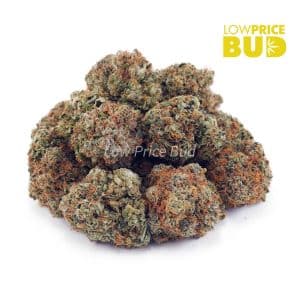 Buy Death Star (AAA) online Canada
