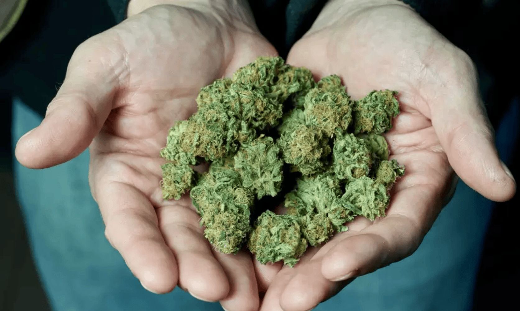 If you are looking to buy premium quality products and would love to choose from a vast catalogue. You can go to our store and order weed online for same-day delivery!