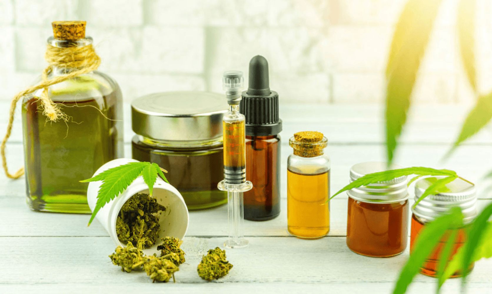 In this article, we look into weed delivery in Canada and the numerous advantages of having weed delivered by an online dispensary.