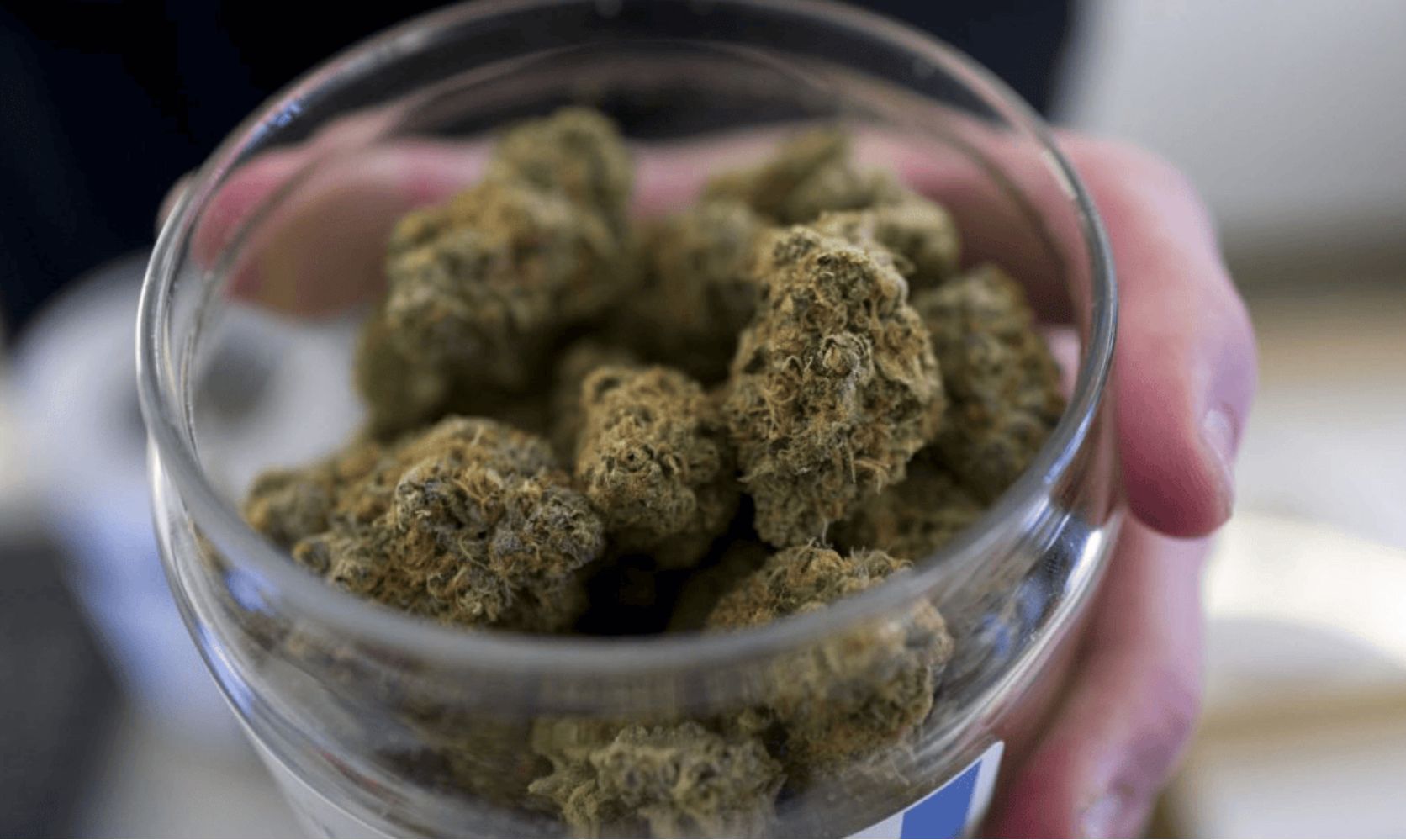 Uncover the top three mind-altering facts about discounted cannabis & how to get your hands on the finest and safest weed in Canada. Click here!