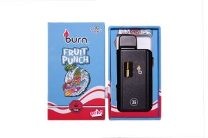 Buy Burn Extracts – Fruit Punch 3ml Mega Sized Disposable Pen online Canada