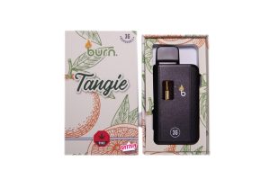 Buy Burn Extracts – Tangie 3ml Mega Sized Disposable Pen online Canada