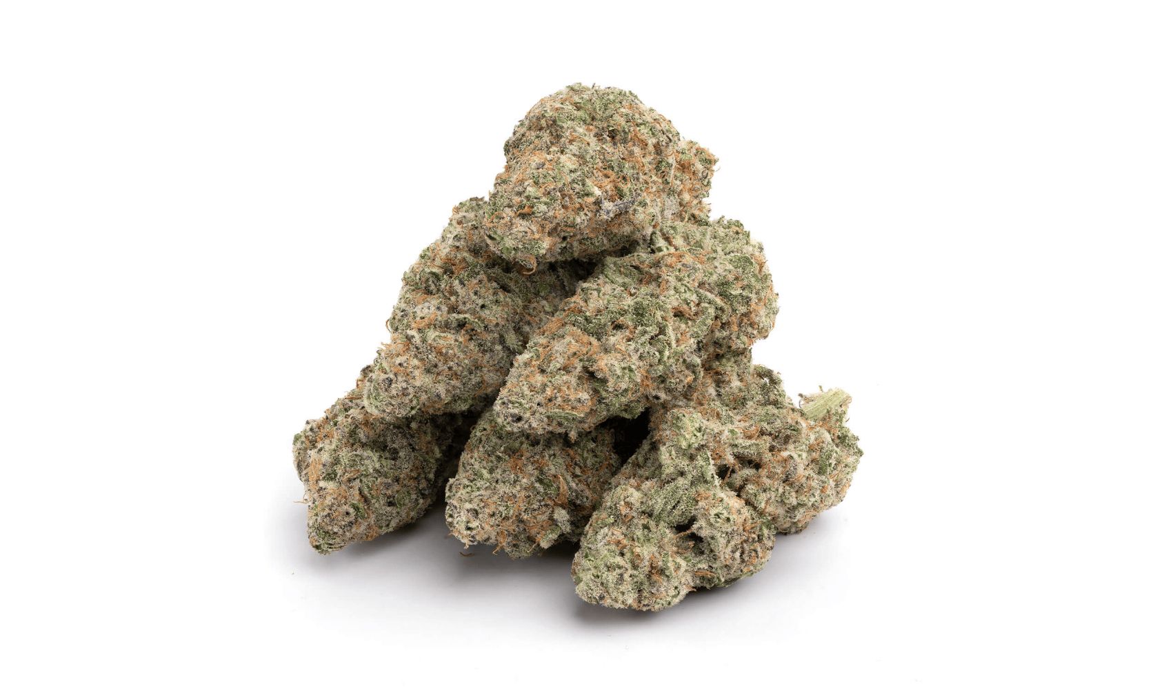 The Animal Cookies strain is one Indica strain with a cult-like following and for good reasons.