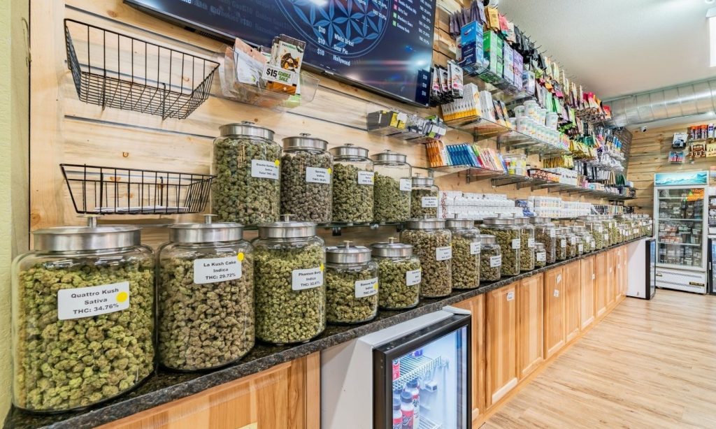 In this detailed guide, you will discover the advantages of buying greens from an online weed shop versus a regular dispensary, how to select the right store in Canada and the best ways to save money without sacrificing quality. 