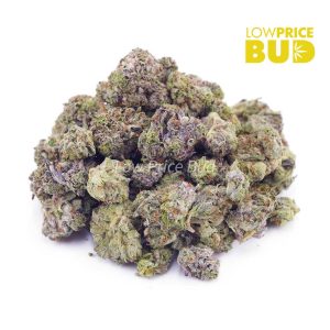 Buy Pink Cookies (AAAA) – Popcorn Nugs online Canada