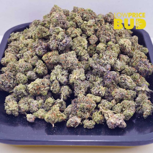 Buy Pink Cookies (AAAA) – Popcorn Nugs online Canada