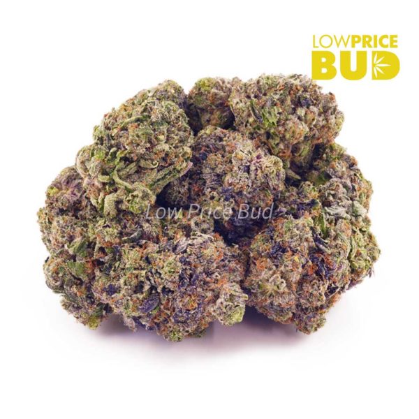 Buy Supreme Blueberry (Craft Cannabis) online Canada