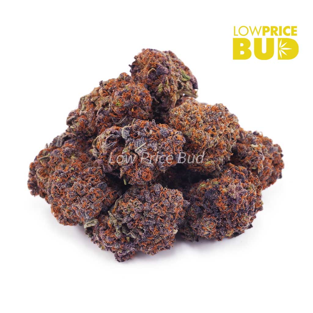 Buy Purple Godbud (AAA) online Canada