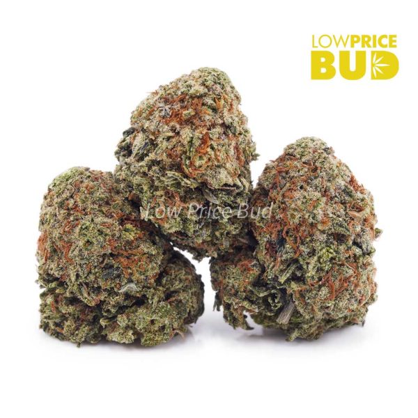 Buy Blue Cheese (AA) online Canada