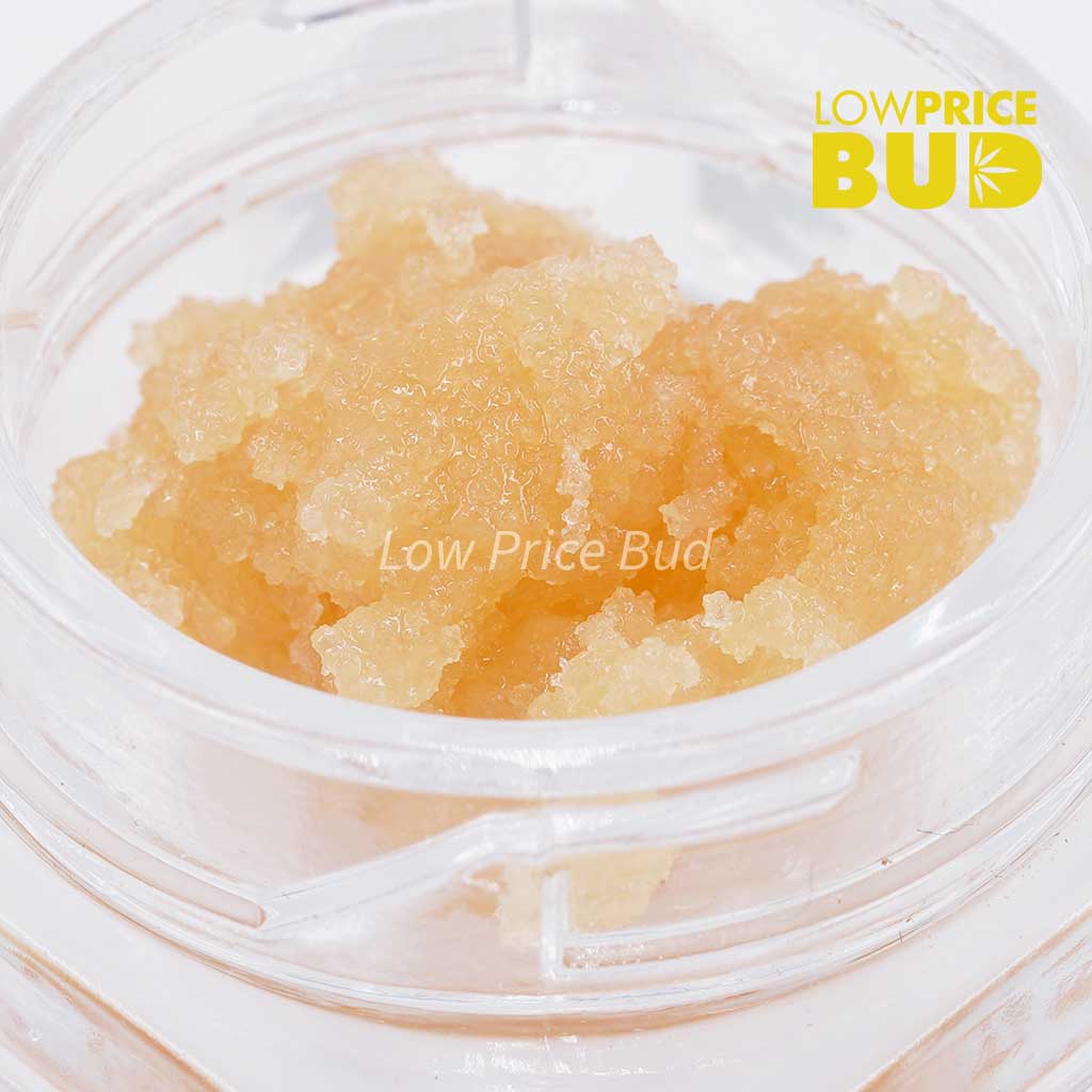 Caviar – Mendo Breath Buy Caviar – Mendo Breath online Canada