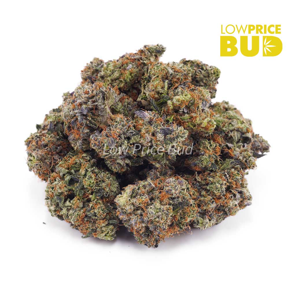 Buy Pink Rob Ford (Craft Cannabis) online Canada