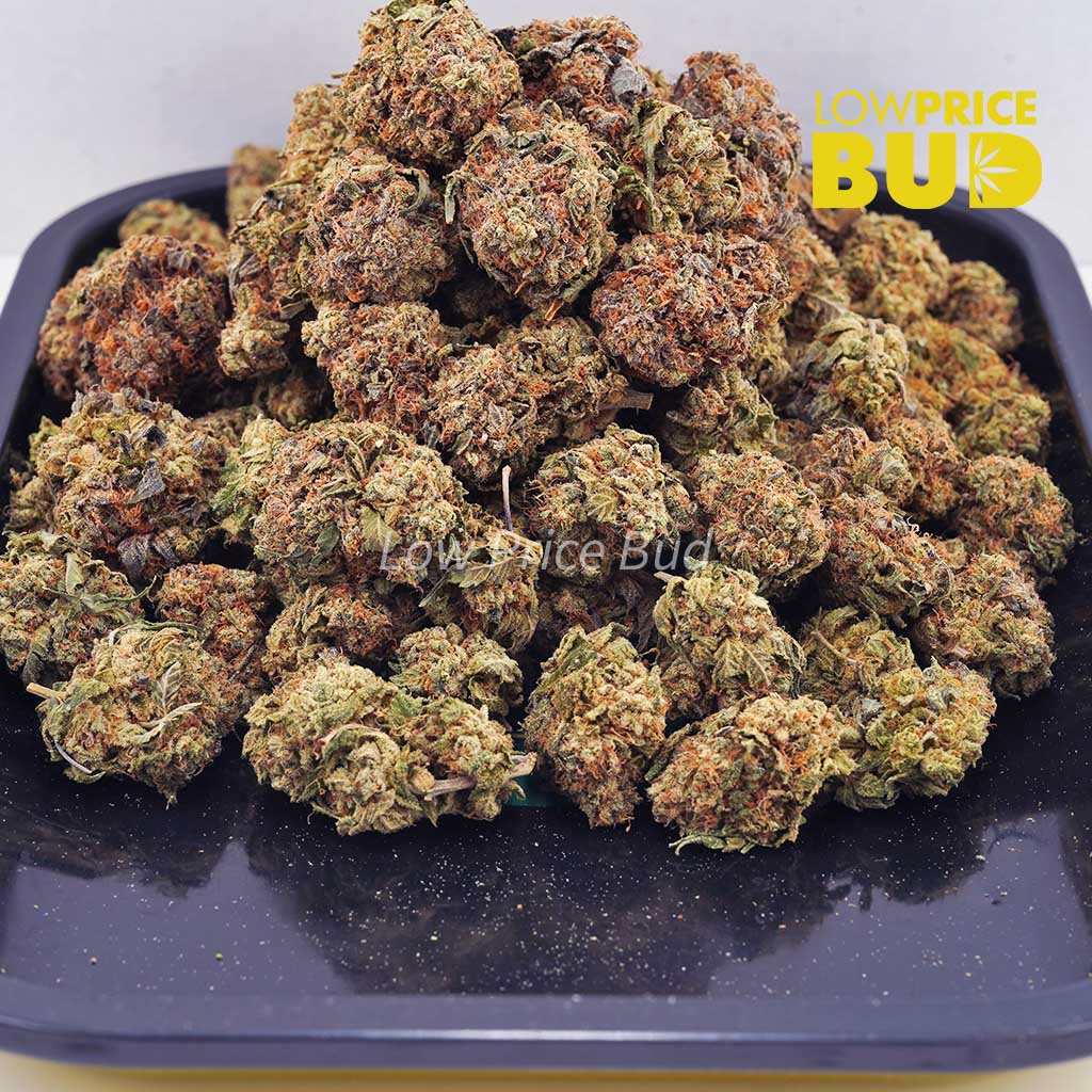 Peaches and Cream (AAA) Buy Peaches and Cream (AAA) online Canada