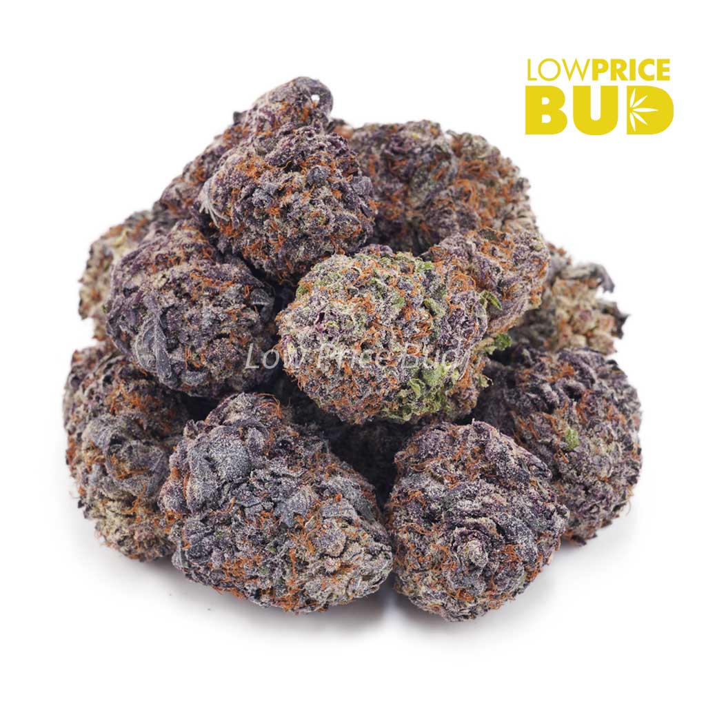 Buy Purple Haze (AAAA) online Canada
