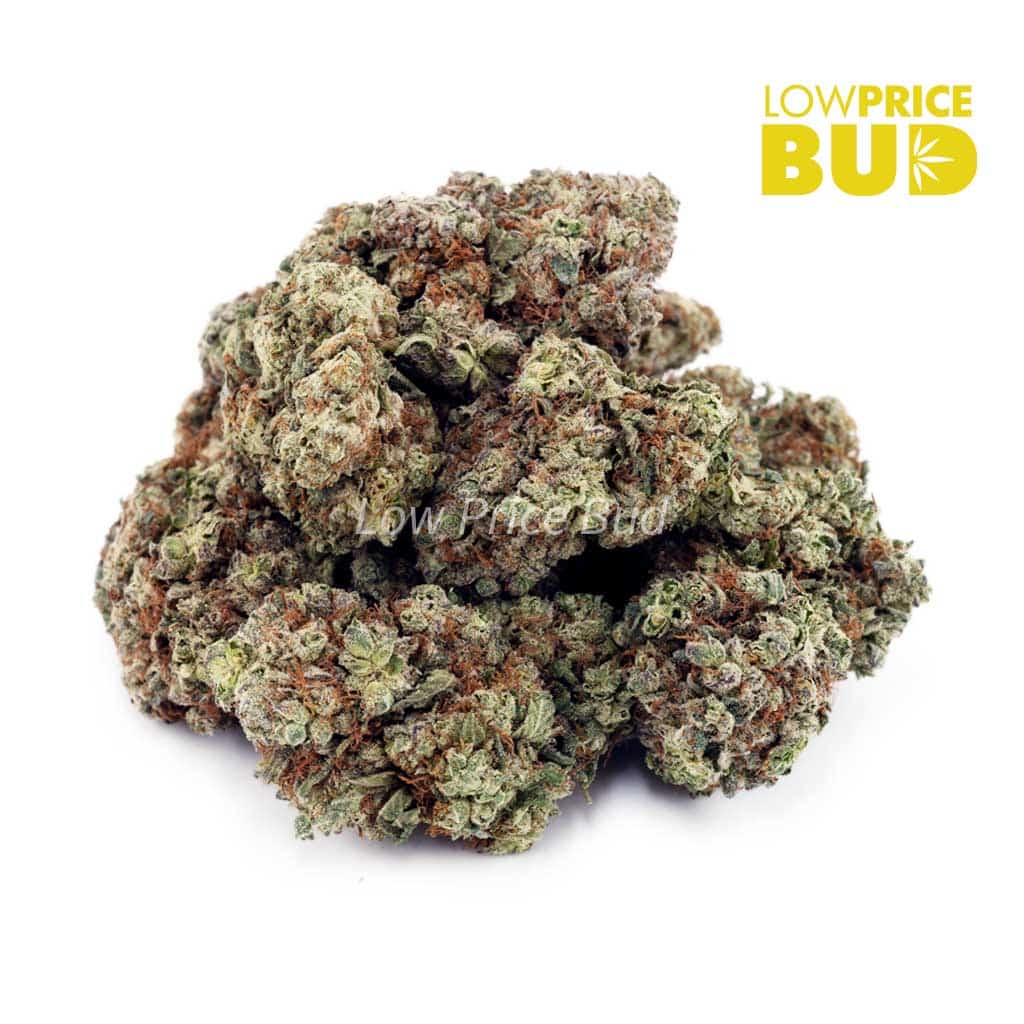 Blackberry Kush (AA) Buy Blackberry Kush (AA) online Canada