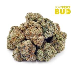Buy Super Glue (AAA) online Canada