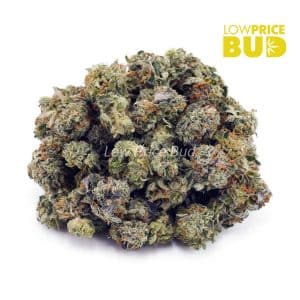 Buy Platinum Cookies (AAAA) – Popcorn Nugs online Canada