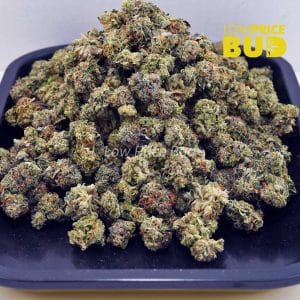 Buy Platinum Cookies (AAAA) – Popcorn Nugs online Canada