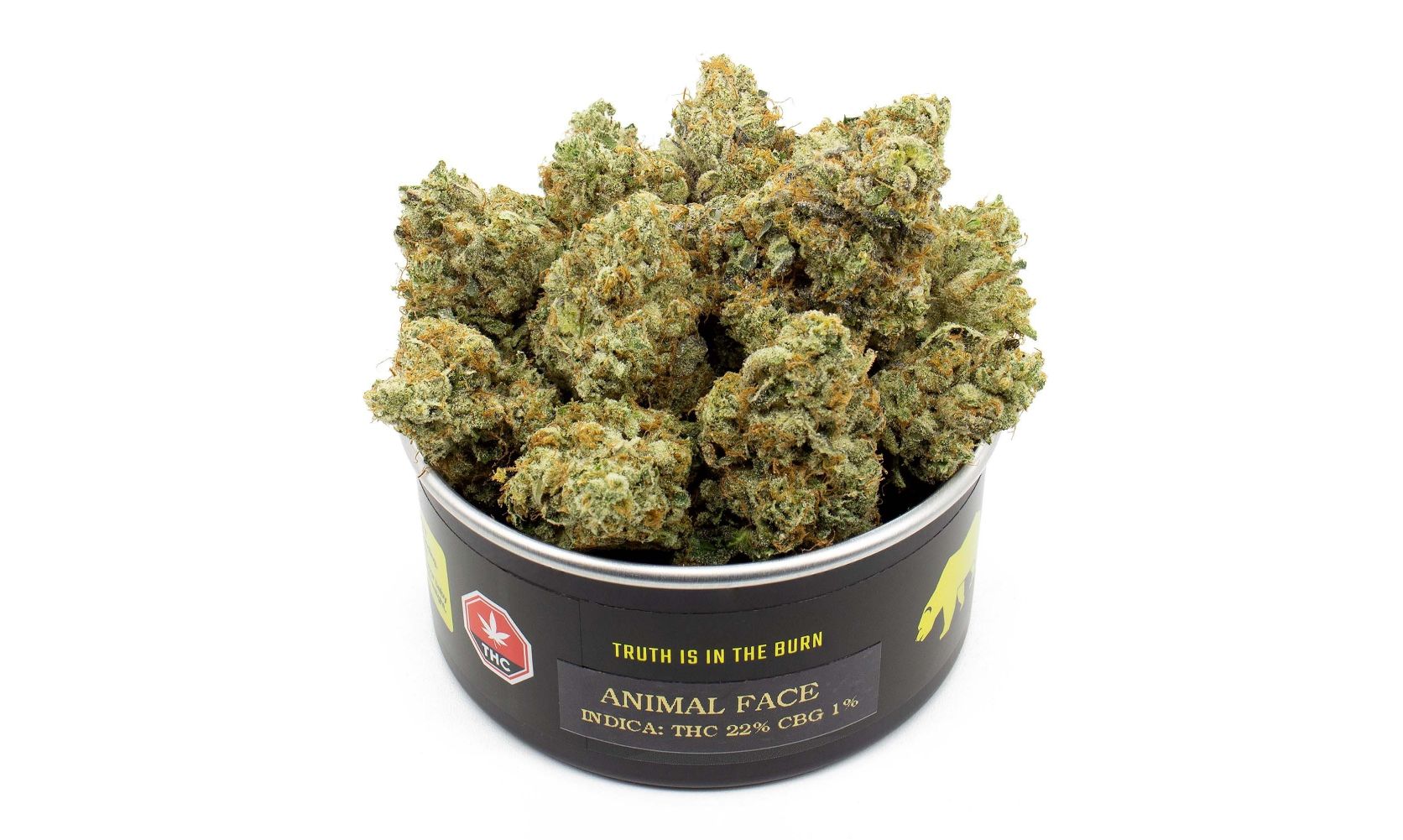 Animal Face strain is one of those hybrid strains every smoker loves. Potent & aromatic, this sativa hybrid is the perfect addition to an afternoon.