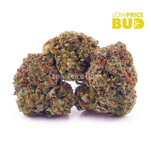 Buy Pink Tuna (AA) online Canada